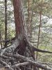 20210727_171035.thumb.jpg.0be008a11d61dea97ecbbd0c86425a86.jpg