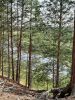 20210727_171055.thumb.jpg.1031b3ce6126c8aa2a7ba1704534f140.jpg