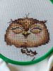20210814_161217.thumb.jpg.927b3957da932a5f9c715b08eb628758.jpg