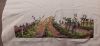20210901_061516.thumb.jpg.42831b963605e8fbdb5b3796b30b296f.jpg