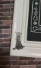 20210901_192251.thumb.jpg.b4d623a8f550c9373eb729ea33f96b6b.jpg