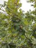 20210908_090654.thumb.jpg.3b31e8cd539c687e819a50491902c53d.jpg