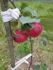 20210911_162551.thumb.jpg.b2a15cd17f03a6448109108cd56d9e1f.jpg