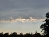 20210911_164839.thumb.jpg.dc47f6dd594398e01a66d9955027a910.jpg