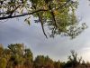 20210911_165311.thumb.jpg.aaa151d07f42add5bf2ff40ec0aae036.jpg