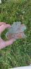 20210911_173543.thumb.jpg.e8ba3e7f3e14bfb10114751a5929228b.jpg