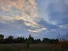 20210911_182823.thumb.jpg.1e83e1a32937dfb9f0e41b23a84615b5.jpg