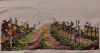 20210911_224927.thumb.jpg.a9ee75b98109fddcfc02c9f0fc47b34f.jpg
