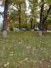 20210916_091811.thumb.jpg.19f2de54798e0181a496f67bc6e7a432.jpg