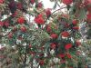 20210918_124925.thumb.jpg.a8b0b3faf1270e4fd6177c72e4644c3a.jpg
