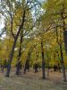 20210929_090802.thumb.jpg.7c88f189c77200eb1df3b4ca3082c91b.jpg