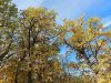20210929_090942.thumb.jpg.b1cb524e3911cbcae2a32fdbc107e100.jpg