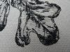 5.thumb.jpg.a9faab986f544f66e3b1923a07fd1cb2.jpg