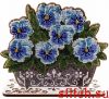 50781.thumb.jpg.a0bfad3de408dfaacd1cdd8131fa7ef0.jpg