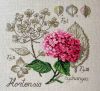 62c3e41c082d6660a9d848bd9a9868ae.thumb.jpg.2afafdadf85cded4ea060476fb6c6bb3.jpg