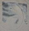 7.thumb.jpg.0efa0bec65727465b44de7842a202f0f.jpg
