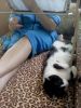 DSC00442.thumb.JPG.69d632e5afecd037ba7392f2a3844358.JPG