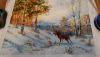 DSC_7257.thumb.JPG.5ddeec79ae9fc5ae274346b3563becb0.JPG