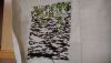 DSC_7466.thumb.jpg.47104626b51b3249a1e34c0023d3a91c.jpg