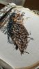 IMG-20210914-WA0004.thumb.jpg.1a1d08895d125b1af049ef6de1791449.jpg