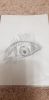 IMG-20210917-WA0019.thumb.jpg.9211d1e523ff50c278032749ff38d105.jpg