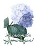 IMG-a1ac380c7f62925a2371ff4f26bb5920-V.jpg