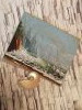 IMG20210920133833.thumb.jpg.1c4ad6826047cb9538405b1027f2c02a.jpg?1632136229581