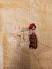 IMG20210920134939.thumb.jpg.41b04dddb63eee3cead775bd699343cc.jpg