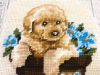 IMG_0023.thumb.jpg.b601f368800bc80b8543f4a16276c5f9.jpg