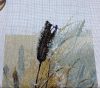 IMG_1065.JPEG