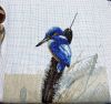 IMG_1067.JPEG