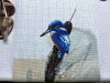 IMG_1068.JPEG