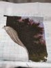 IMG_20210411_215612.thumb.jpg.36eb2cc5e9f4ad5c241b6c75361dcc03.jpg