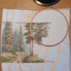 IMG_20210818_062149_365.jpg