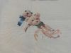 IMG_20210902_192626.thumb.jpg.68ce06964aff6ac9e4aa4ddea5c550a4.jpg