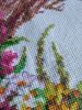 IMG_20210906_073145.thumb.jpg.2ee06dd3cad00bfc69616a4be330ceba.jpg