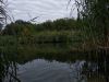 IMG_20210912_075627.thumb.jpg.a7dfd89c477b692e26b34a40f61cffdb.jpg