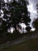 IMG_20210912_140046.thumb.jpg.4abf644fae25092710c727bf65a67e01.jpg