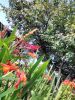 IMG_20210912_141057.thumb.jpg.32a3d6af0ea948ab73e8284a11ff2646.jpg