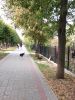 IMG_20210912_154647.thumb.jpg.9172d342d8a5069d40f47238329ff177.jpg