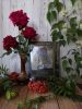 IMG_20210916_092550.thumb.jpg.f6ce738a730cd6eb5b1ac66df1907c87.jpg