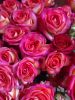 IMG_20210916_145641.thumb.jpg.2892b3d46a8cc00ff38712696f5a2684.jpg