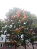 IMG_20210916_180713.jpg