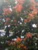 IMG_20210916_180720.jpg
