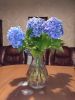 IMG_20210917_204511.thumb.jpg.56089f25cdd40c1c77db7b01d1b9ffd9.jpg