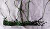 IMG_20210918_233518.thumb.jpg.4c71c9cfb120b12b699922fb4f6dd921.jpg