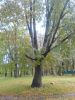 IMG_20210919_143436.thumb.jpg.55810462409b03c89a9b4f9f17b85b0b.jpg