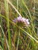 IMG_20210919_154358.thumb.jpg.c7db4a1cbb914ea5b14de936b91c588b.jpg