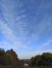 IMG_20210919_160920.thumb.jpg.cca048f83d78a52ca3261d1db55a4739.jpg