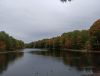 IMG_20210921_111650.thumb.jpg.77f902fe489f9e9aac80cd5566e2e7d1.jpg